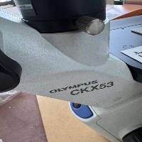 Olympus CKX53 Inverted Microscope image 0